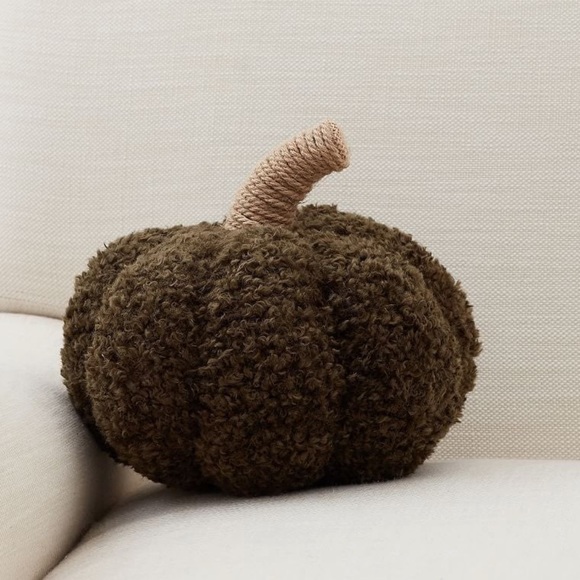 Pottery Barn Holiday Pottery Barn Cozy Loden Pumpkin Pillow 5 X 8